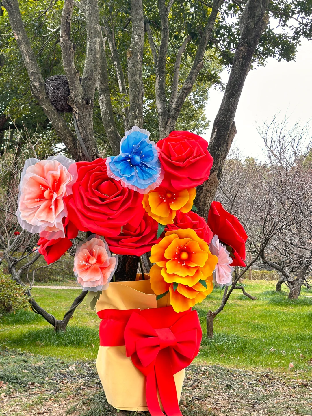 跟着央妈游无锡｜新春赏梅就来无锡梅园