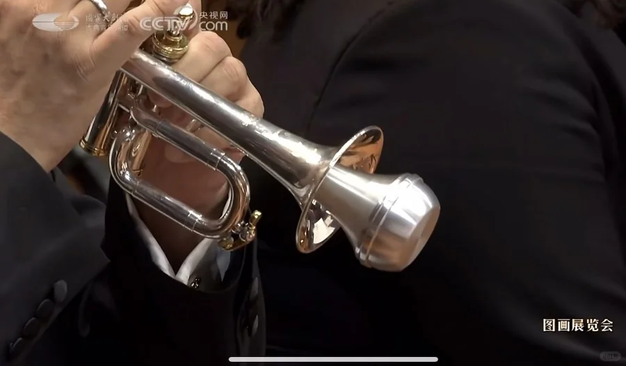 这可是《图画展览会》呀！