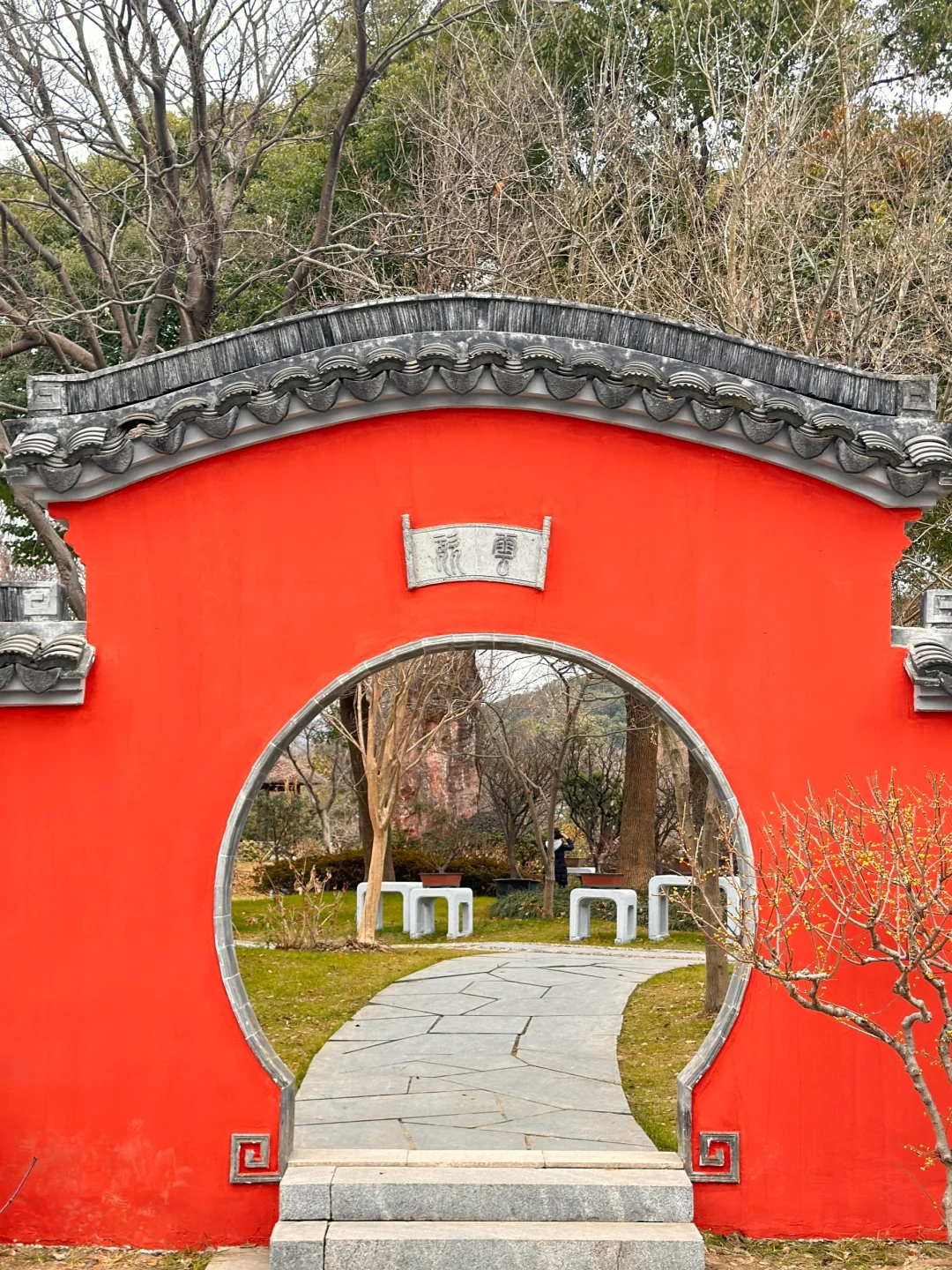 跟着央妈游无锡｜新春赏梅就来无锡梅园