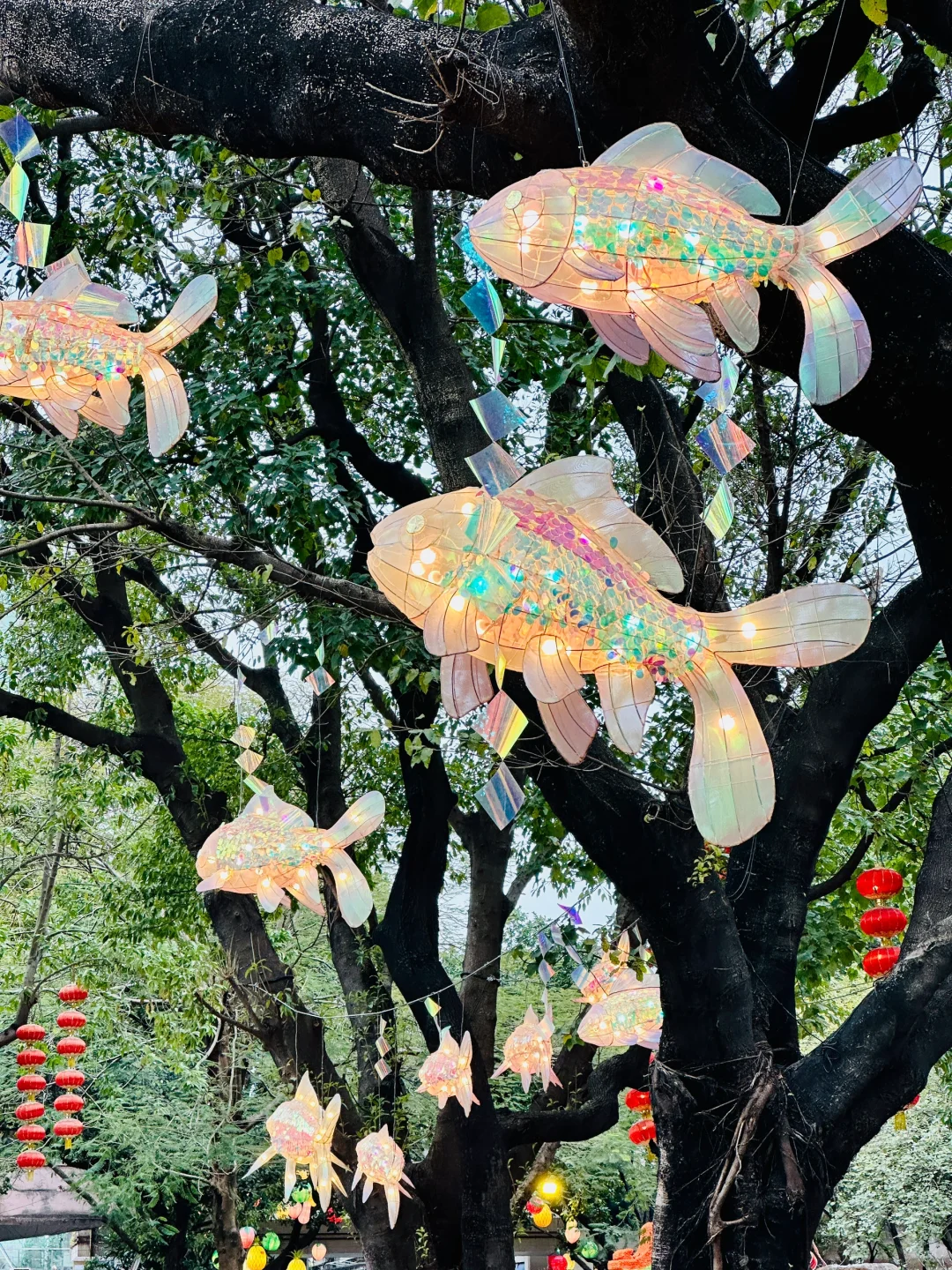 广州灯会怎么能少了文化公园呢?除夕开始啦