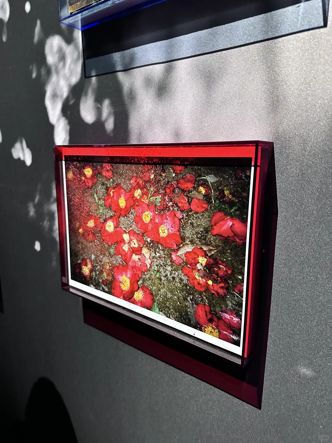 ??留子看展日记｜蜷川实花