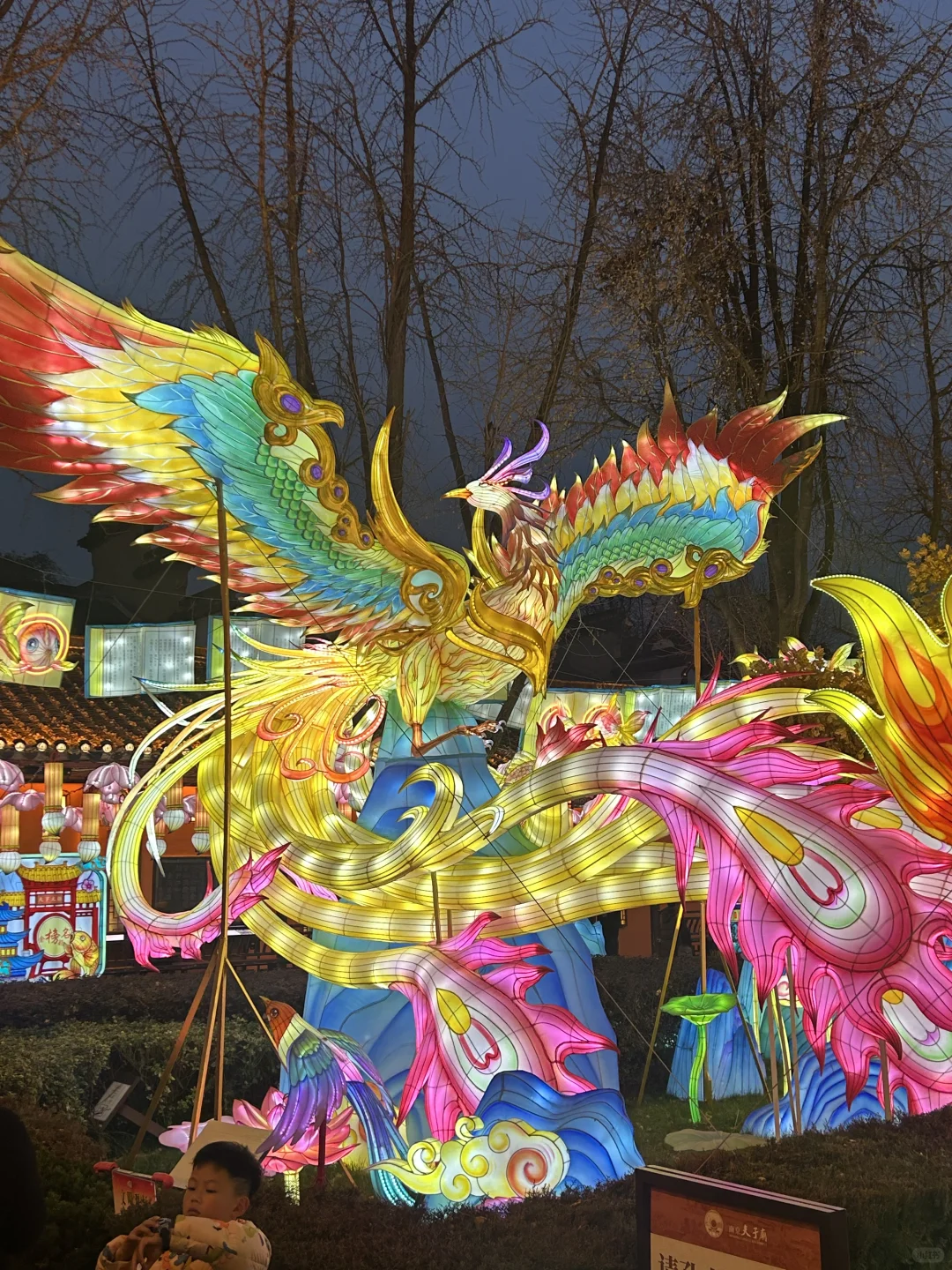 今日南京夫子庙灯会展