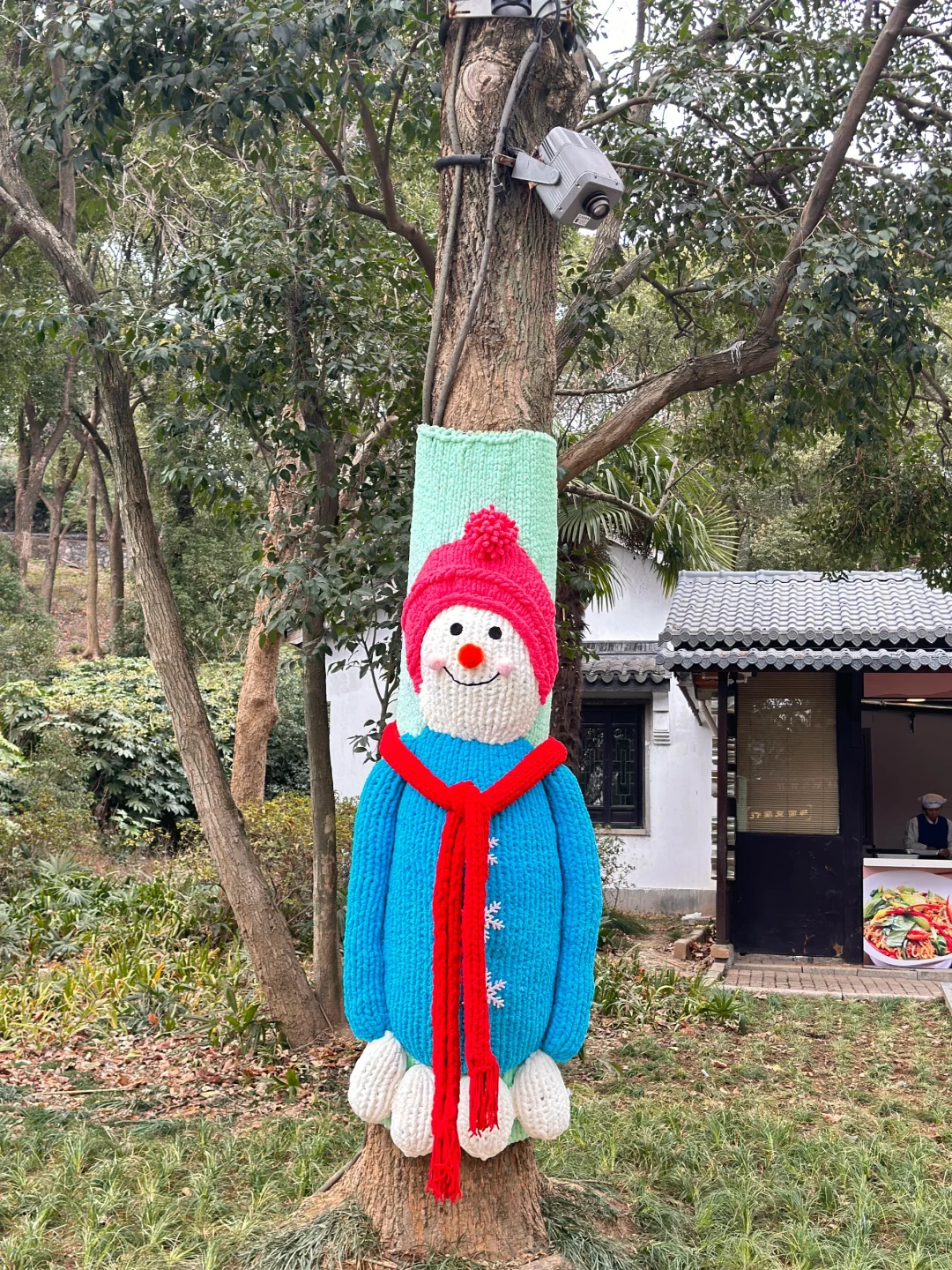 跟着央妈游无锡｜新春赏梅就来无锡梅园