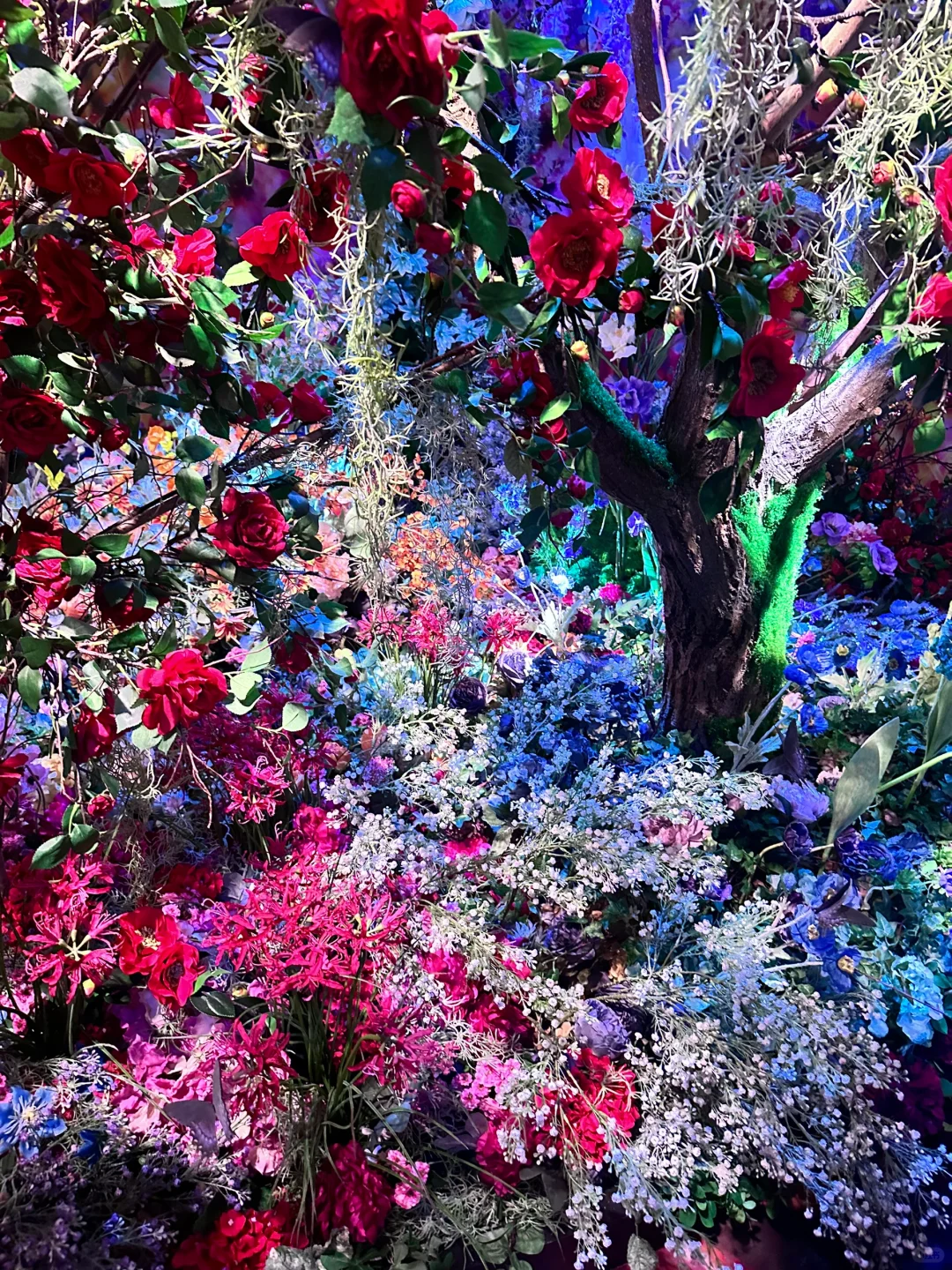 ??留子看展日记｜蜷川实花