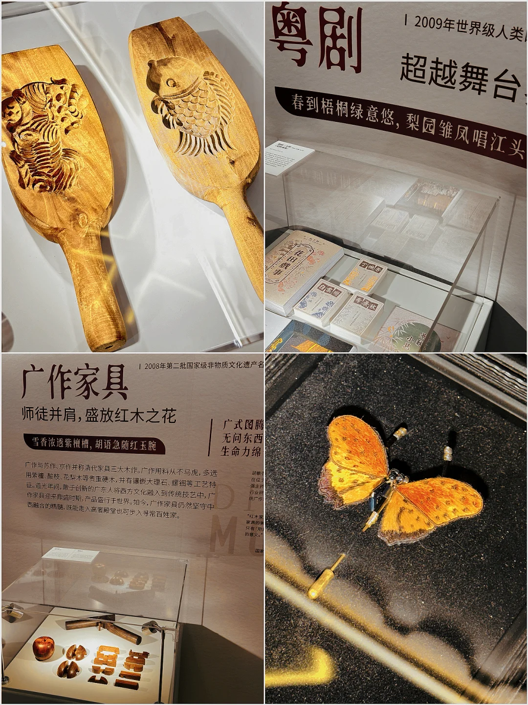 广州免费新展?走进了灵蛇花海?巨出片!