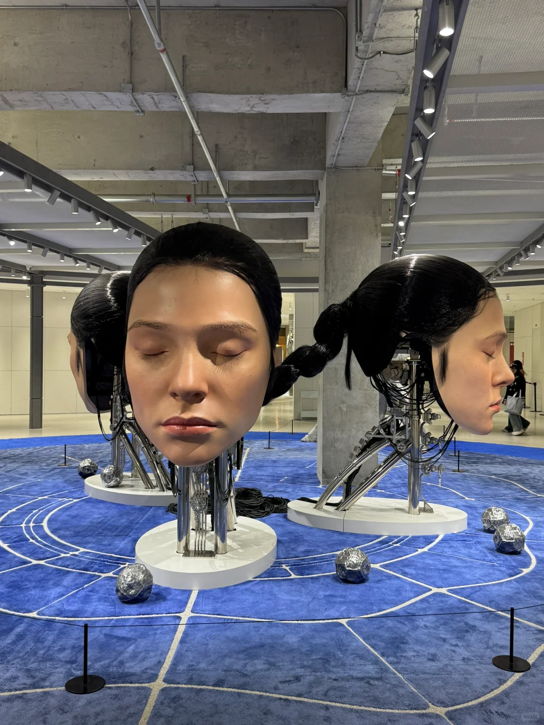 深圳巨人展 | 2025最新攻略