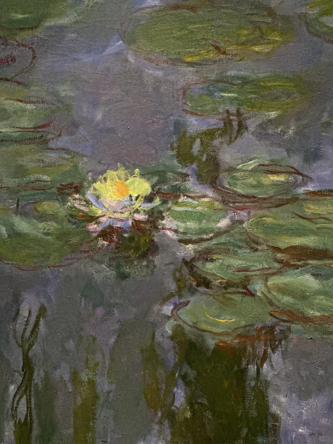 东京莫奈画展‼️我不懂,但大为震撼