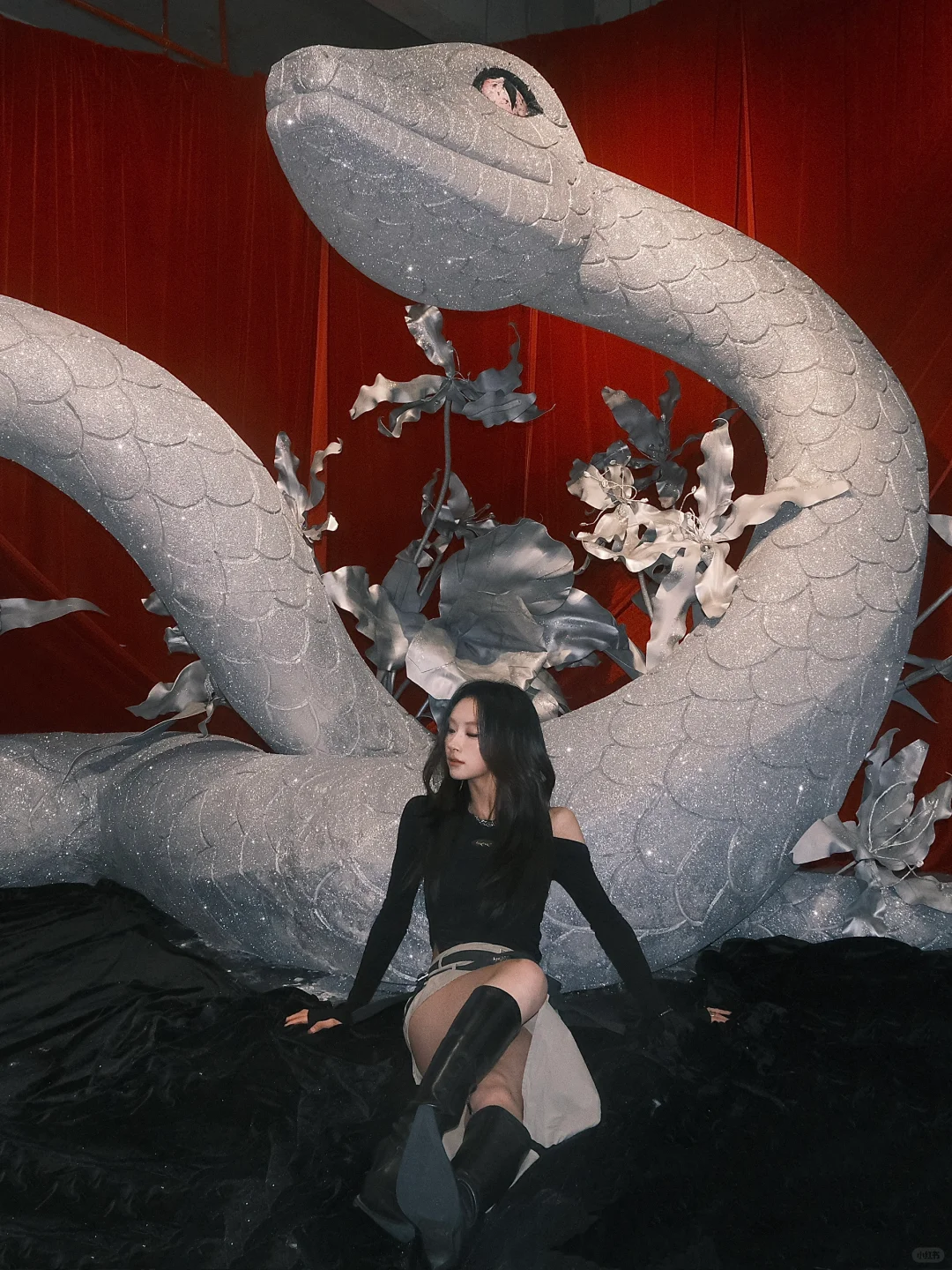 福州新展｜蛇年就要看蛇展?