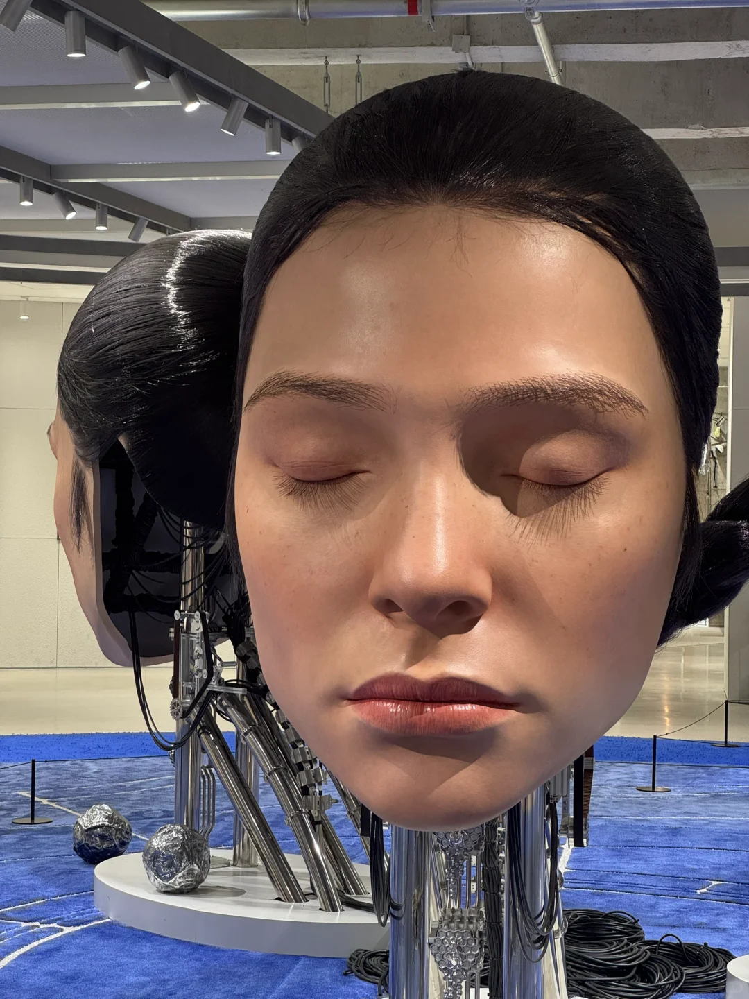 深圳巨人展 | 2025最新攻略