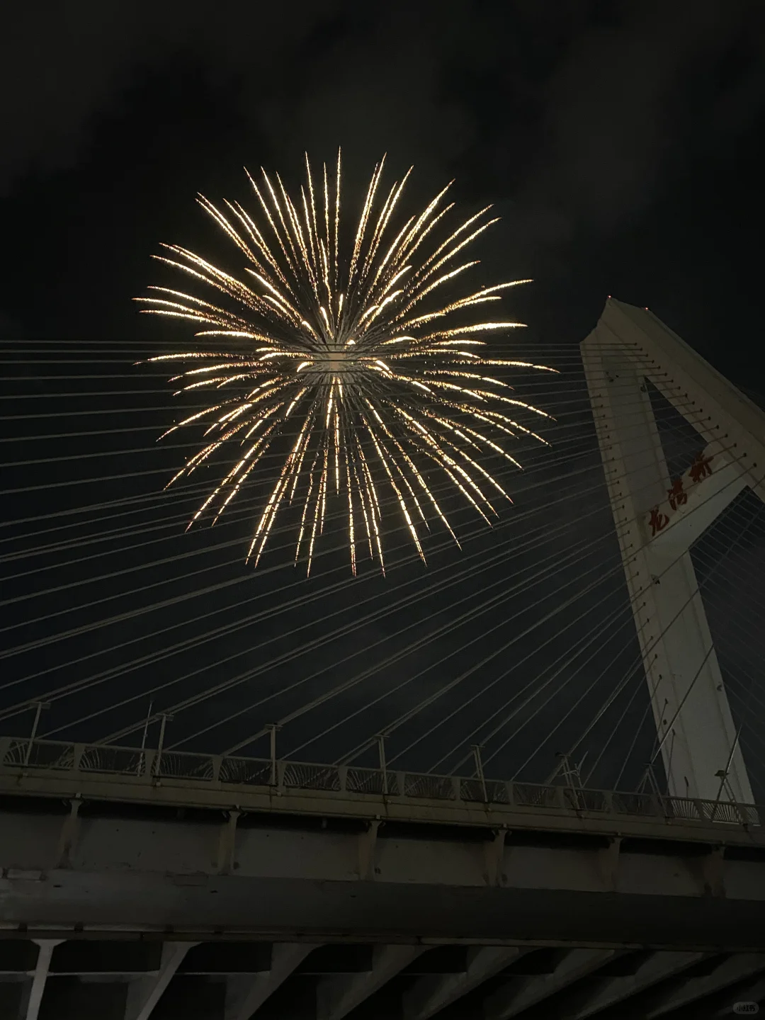 2025年西樵新春游玩最全面的好玩行程攻略