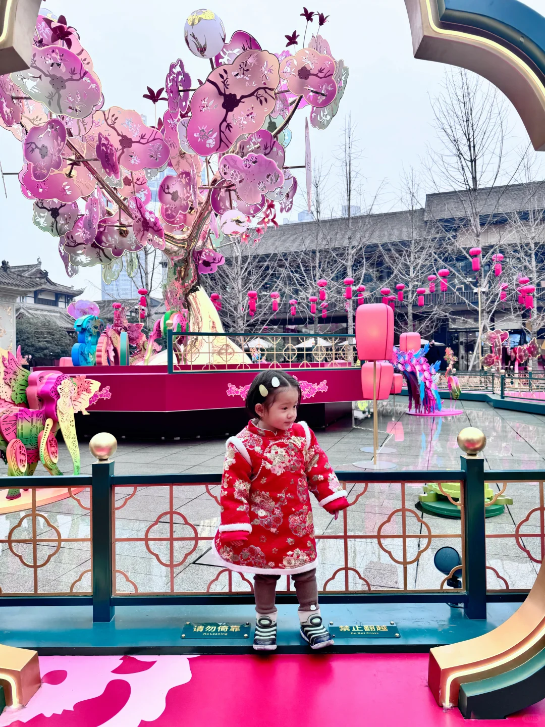 生了二宝，大宝吃醋了，所以出了月子带她出门