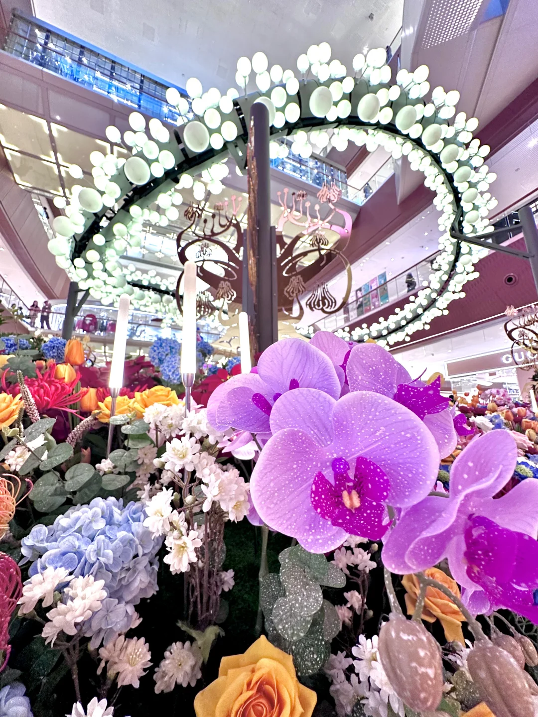 广州免费新展?走进了灵蛇花海?巨出片!