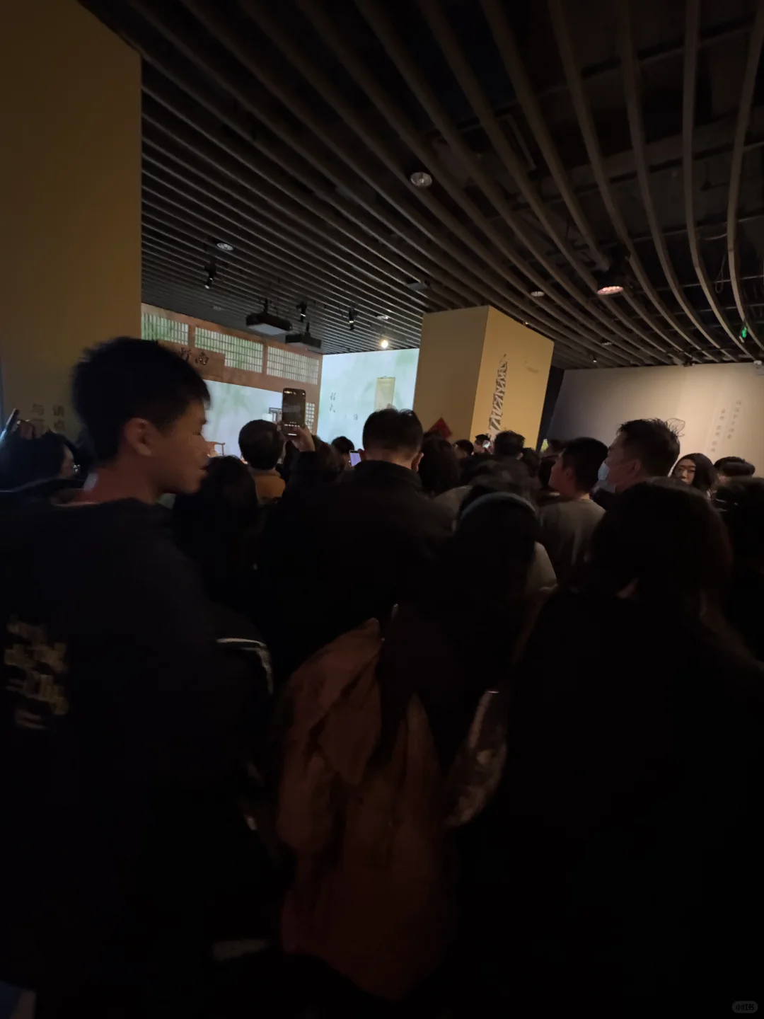 世纪坛苏轼展人从众了❗️太疯狂了❗️