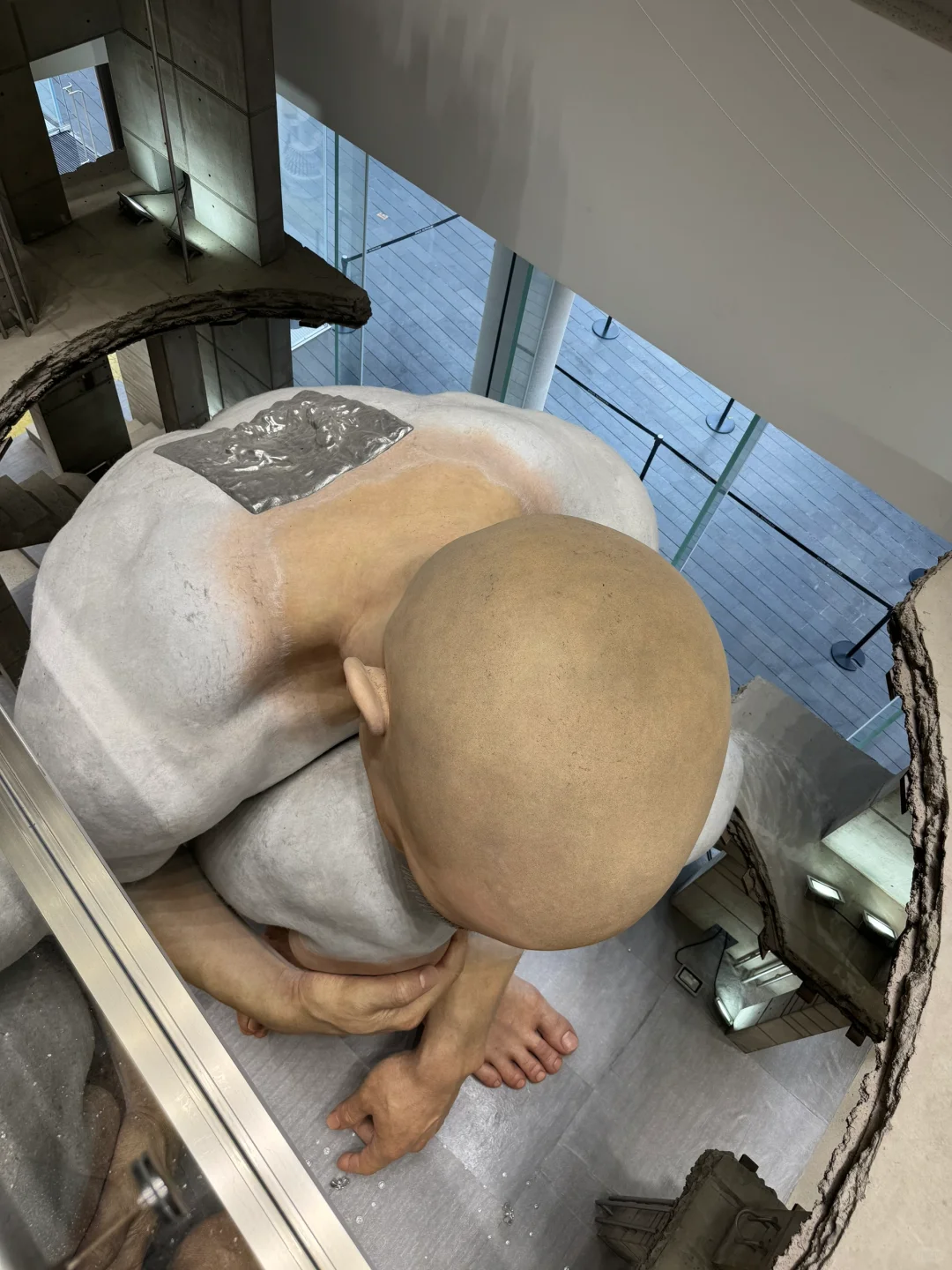 深圳巨人展 | 2025最新攻略