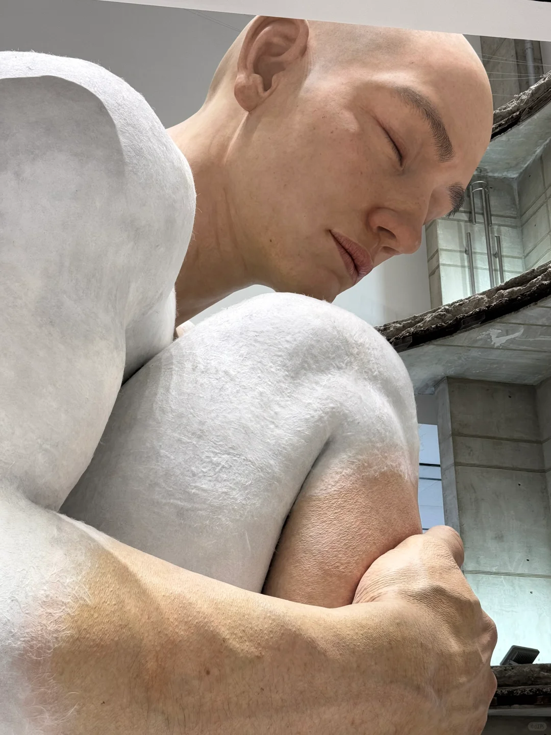 深圳巨人展 | 2025最新攻略