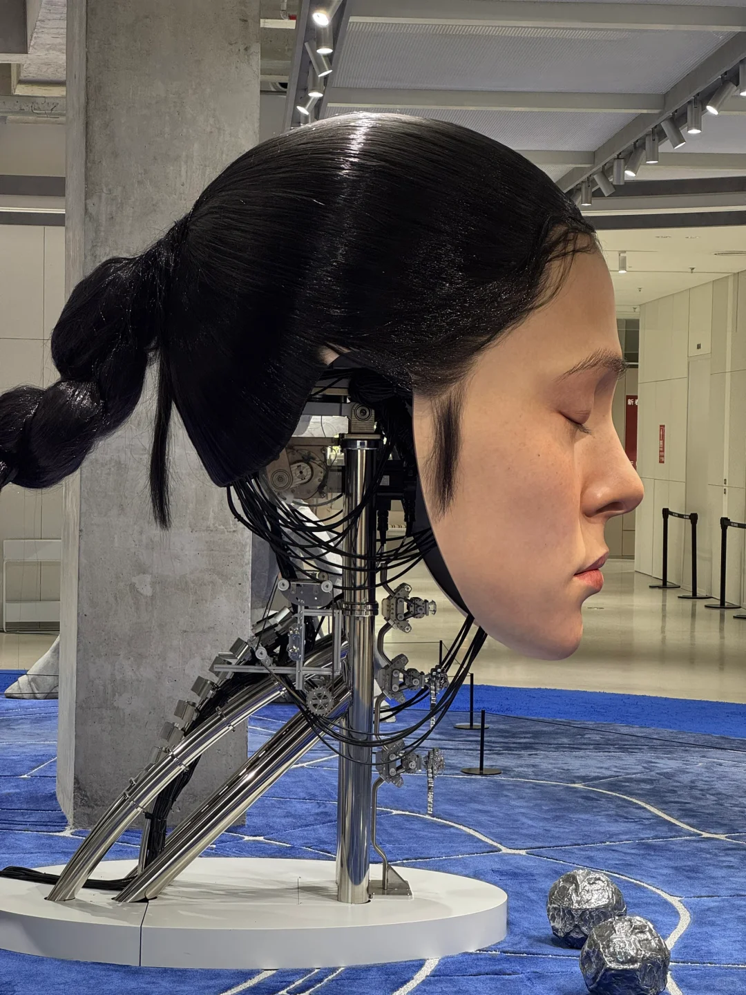 深圳巨人展 | 2025最新攻略