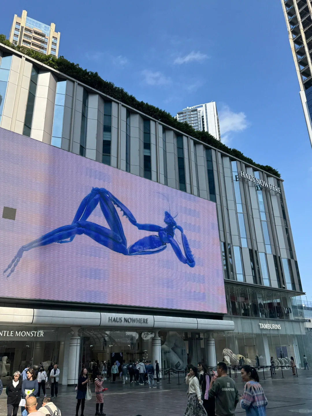 深圳巨人展 | 2025最新攻略