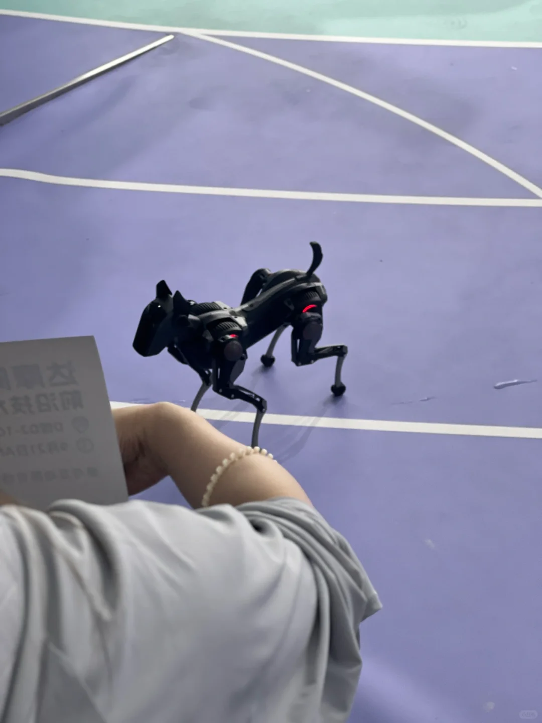 自由模特也来参加AI科技展啦