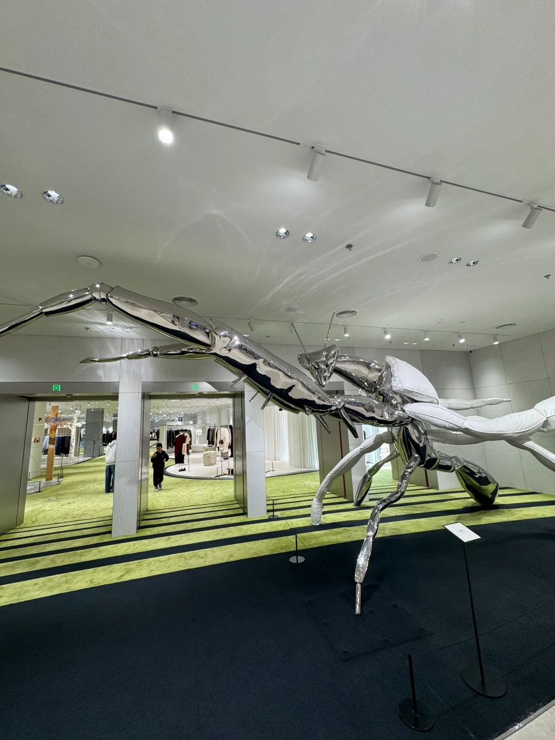 深圳巨人展 | 2025最新攻略