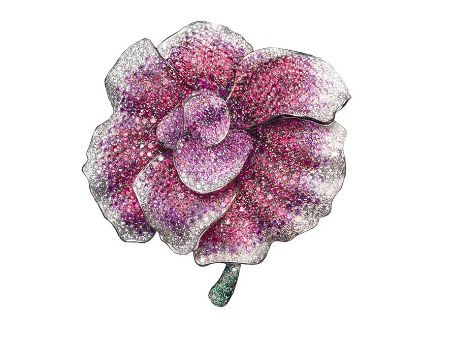 珠宝学人 V-Damond 20???