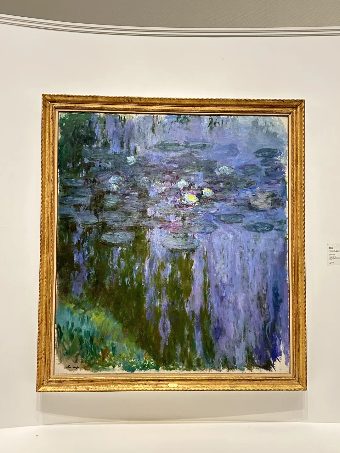 东京莫奈画展‼️我不懂,但大为震撼