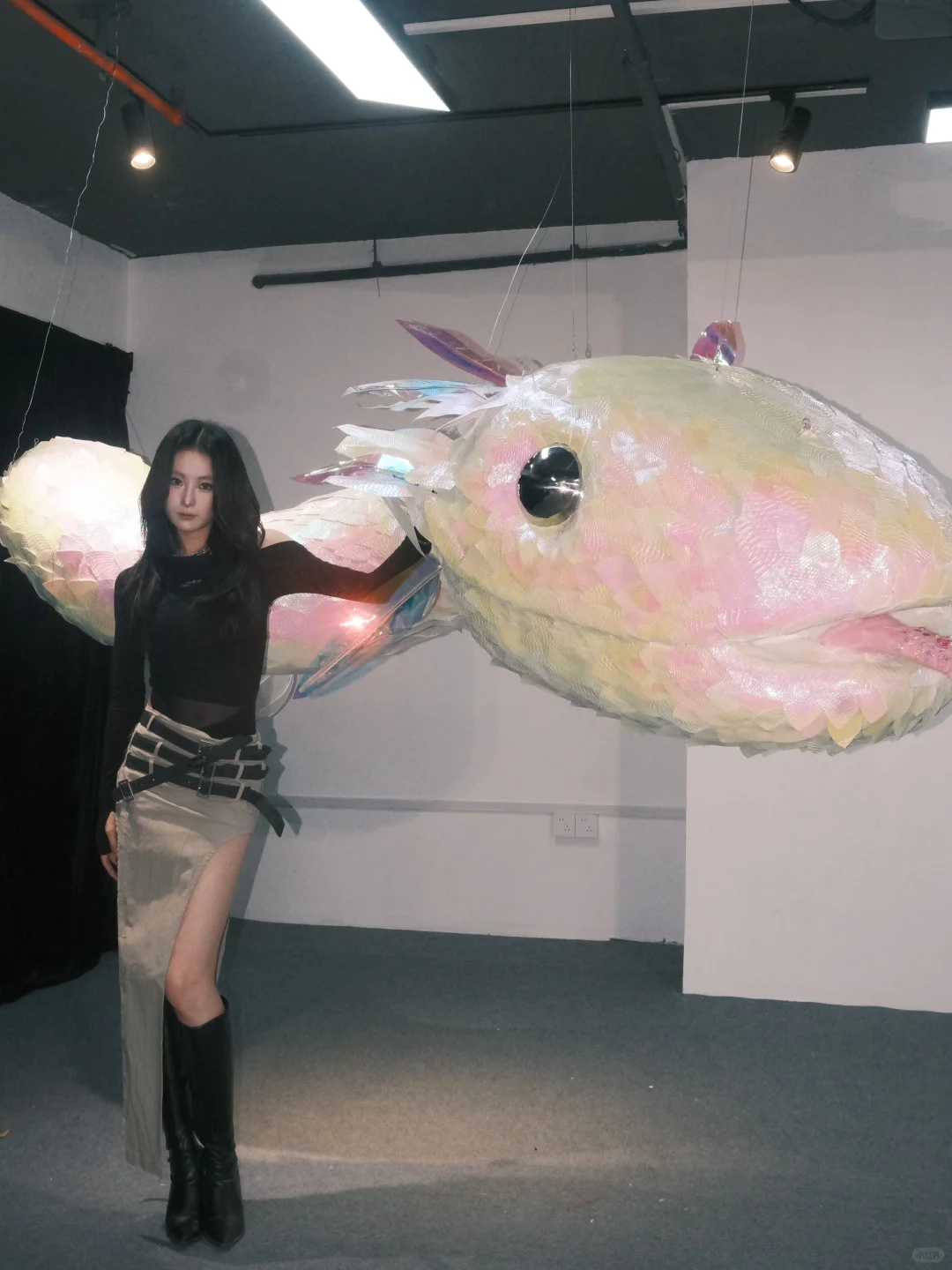 福州新展｜蛇年就要看蛇展?