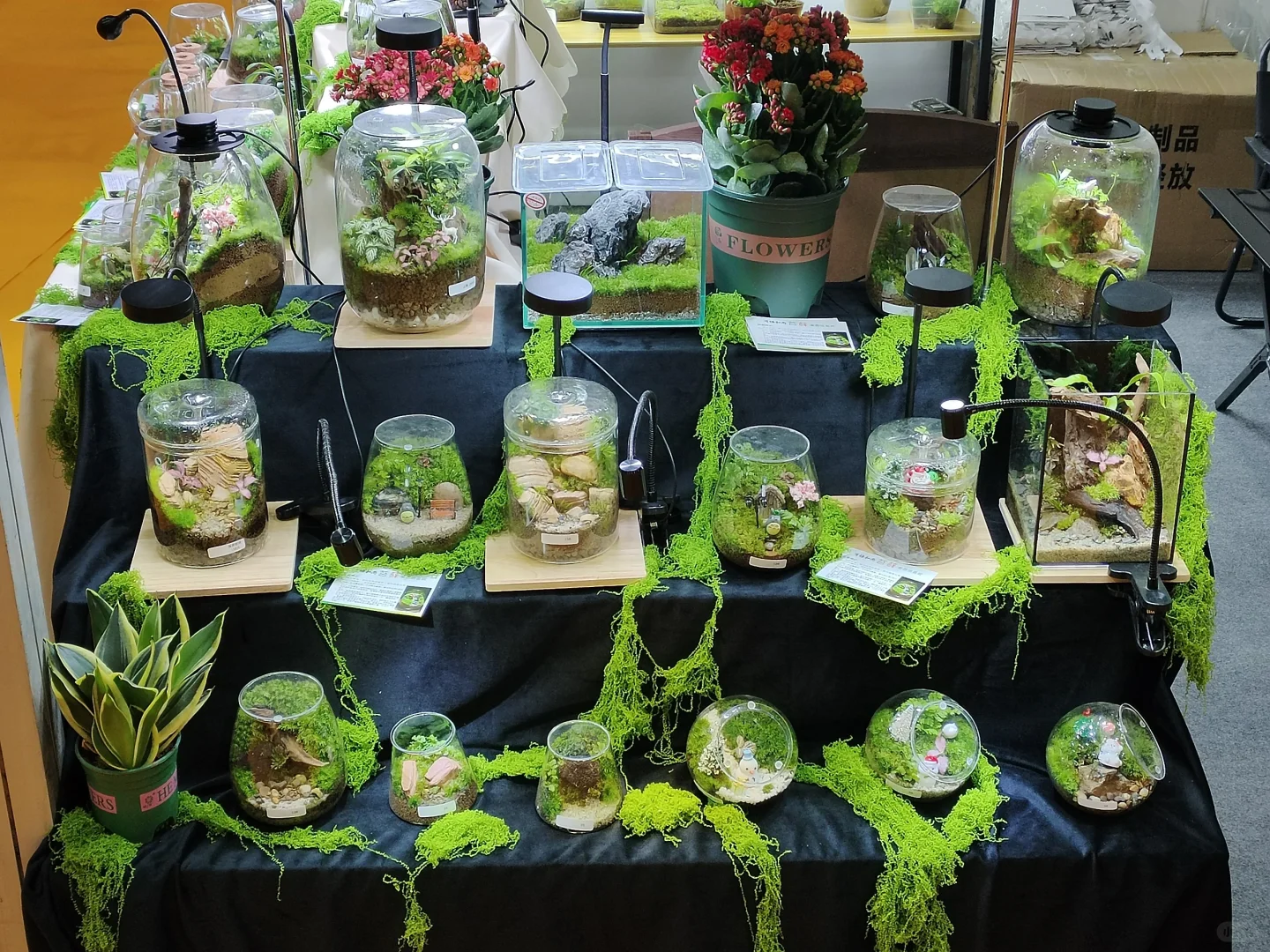 合肥滨湖会展中心有重大活动？