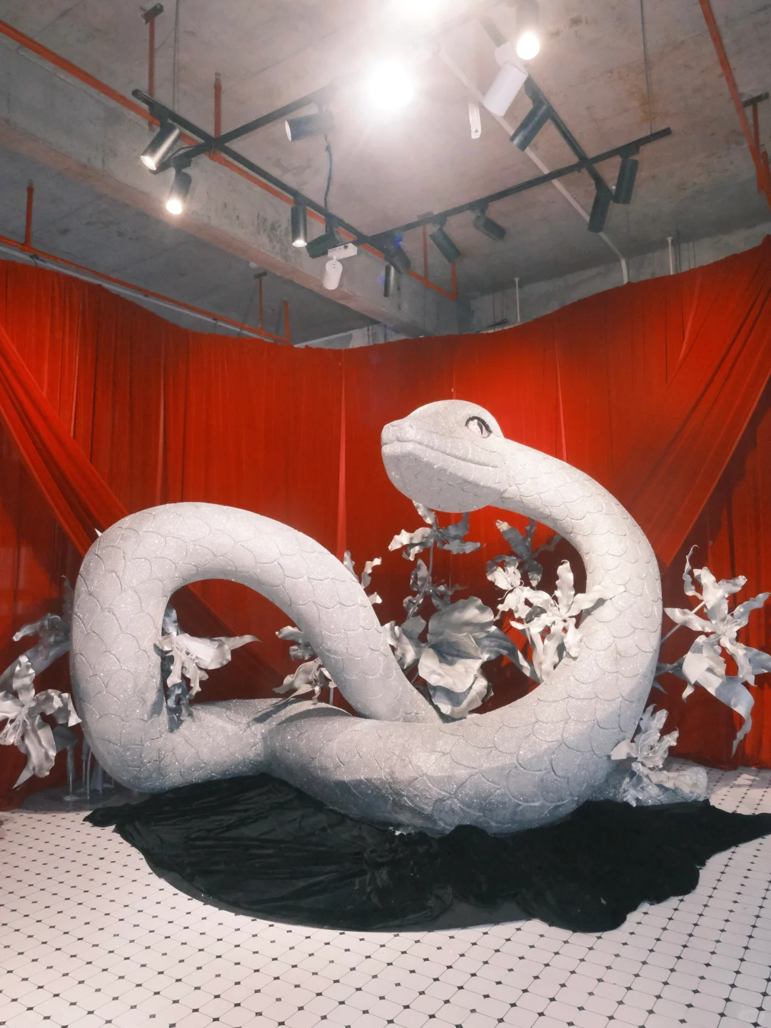 福州新展｜蛇年就要看蛇展?