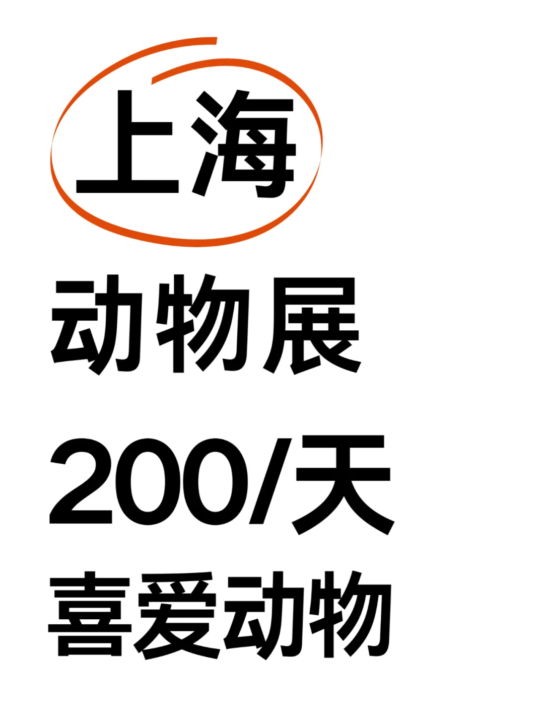 上海 动物展会协助 200