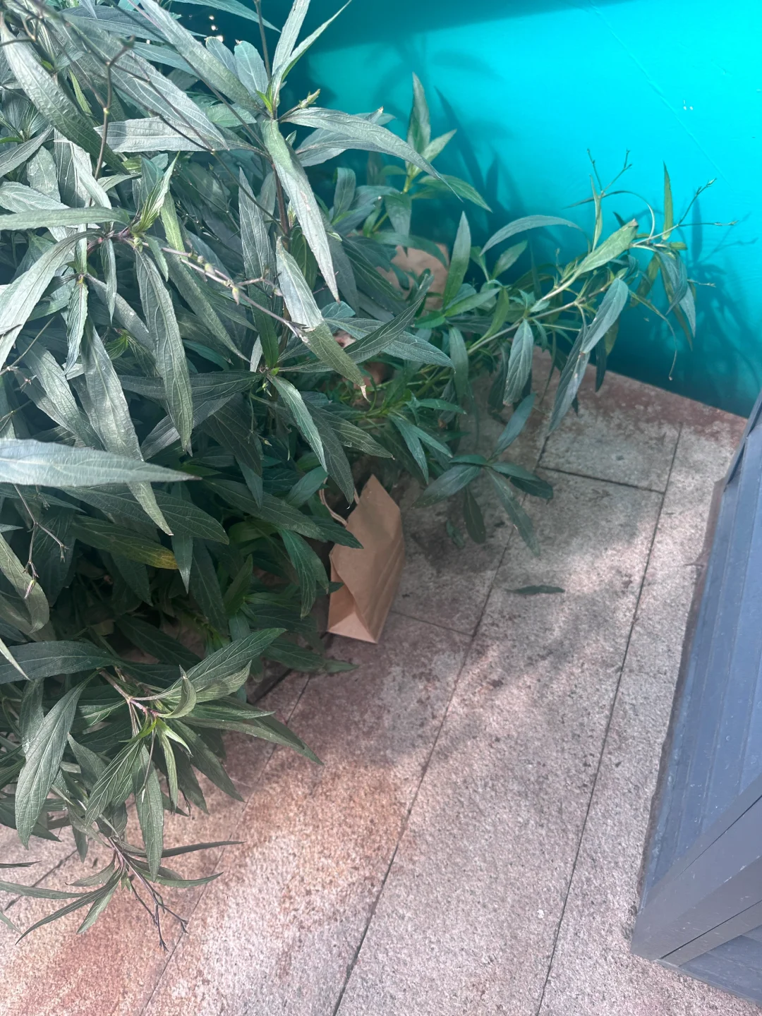 会展航洋城藏好了哟 快去拿