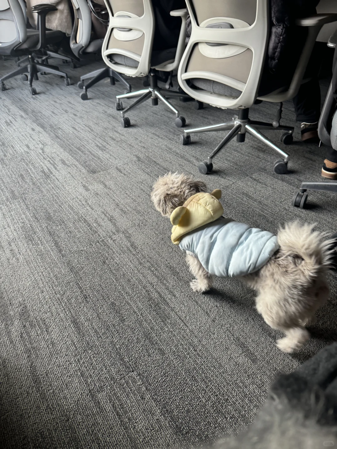 展会准备中 3 月上海见 ～