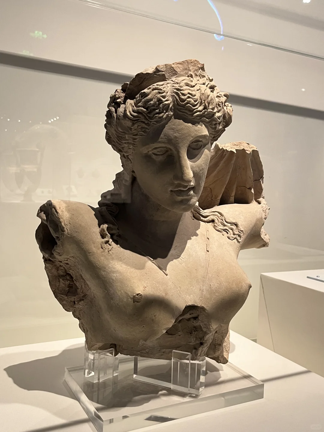 成都｜古希腊文物特展，绝美