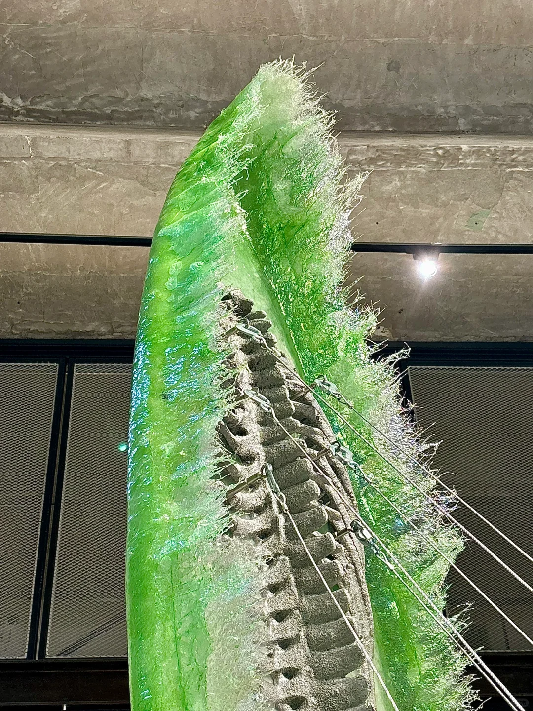 在北京真不会无聊！值得开年看的10+个展览❗️