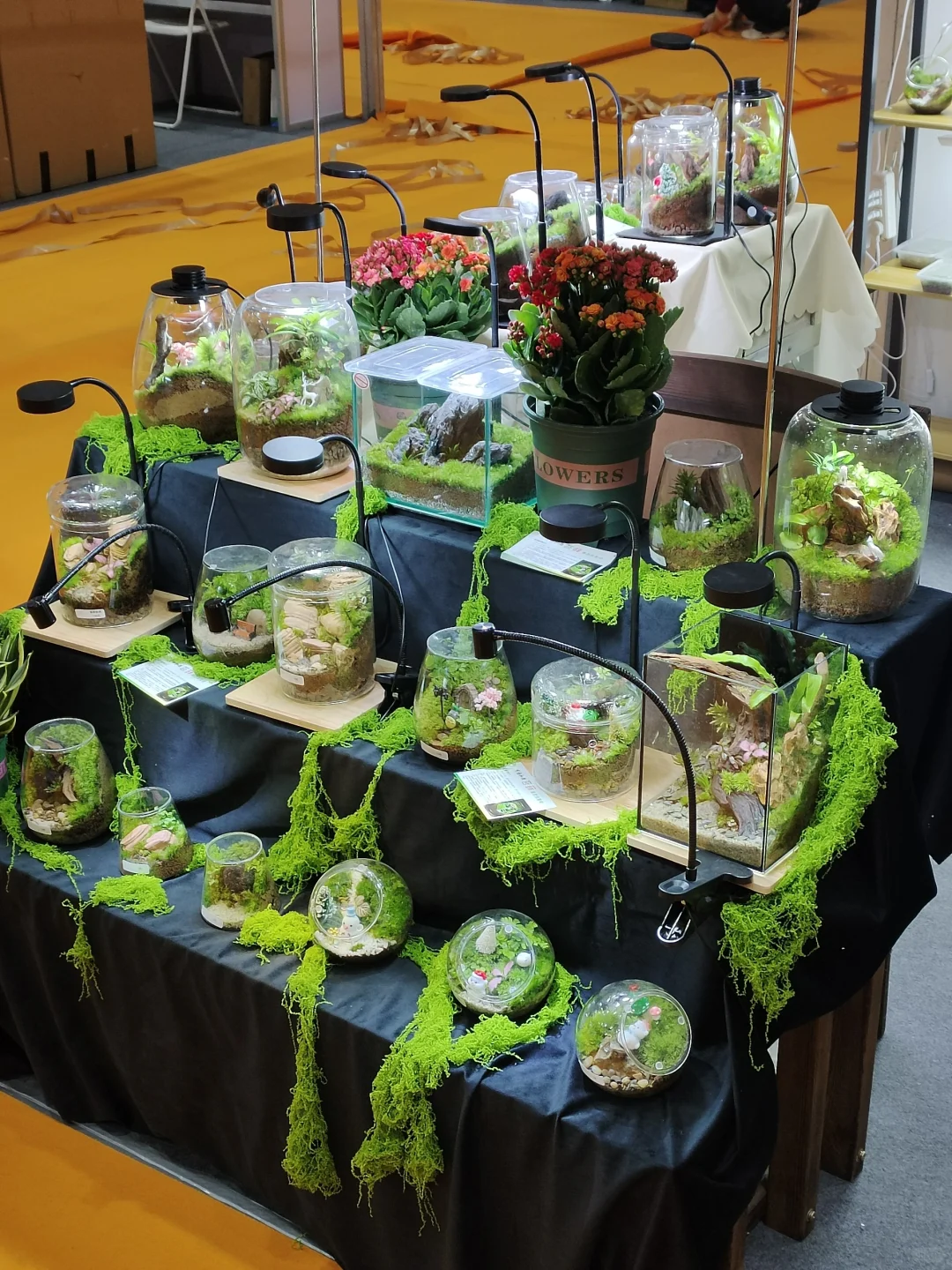 合肥滨湖会展中心有重大活动？