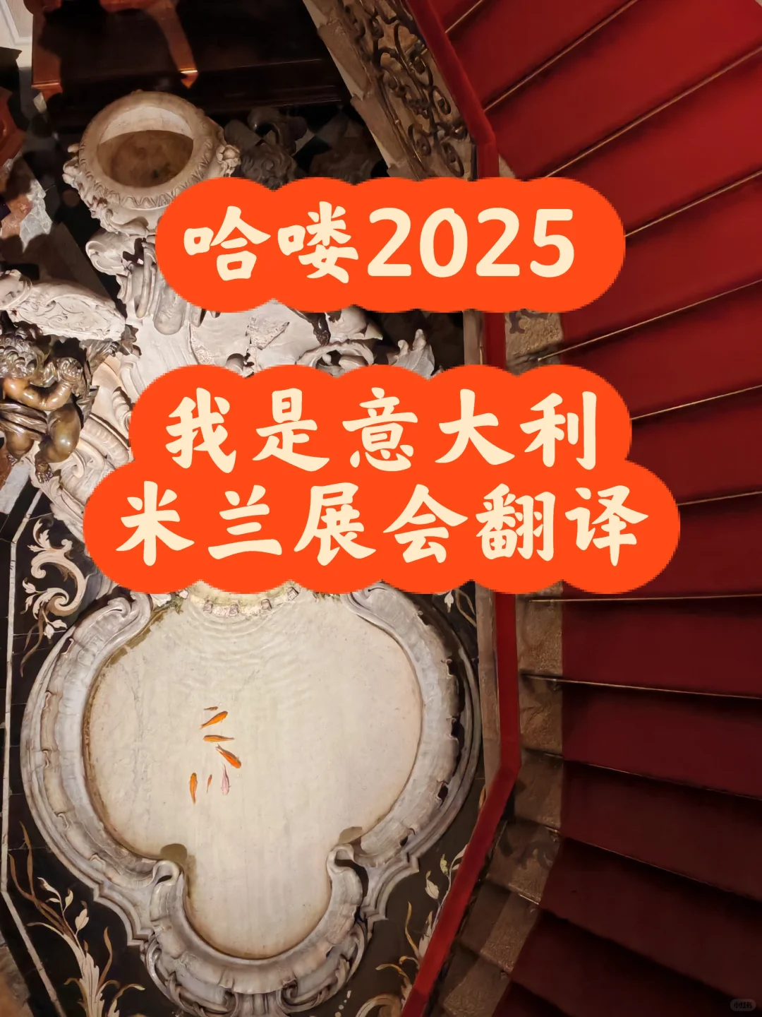 您好?我是米兰展会翻译?