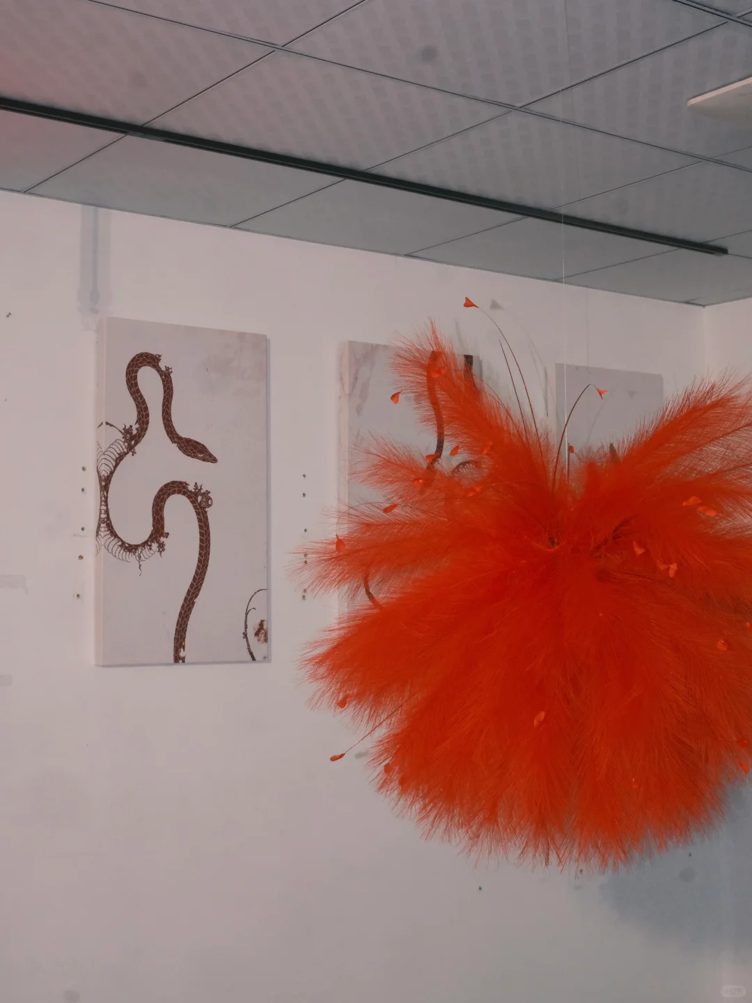 福州新展｜蛇年就要看蛇展?