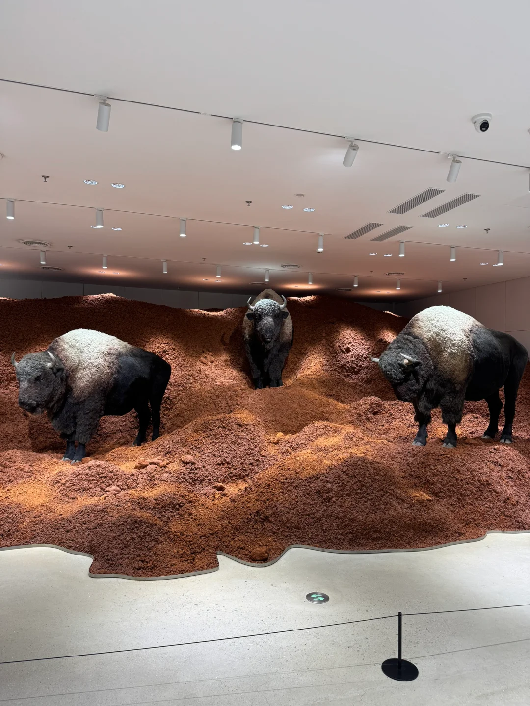 深圳巨人展 | 2025最新攻略