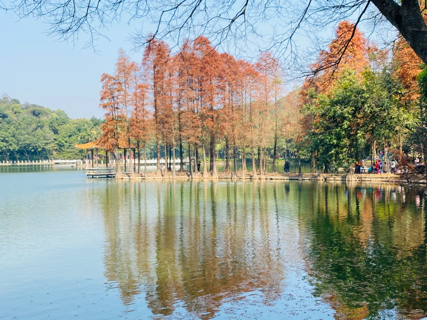 2025年西樵新春游玩最全面的好玩行程攻略