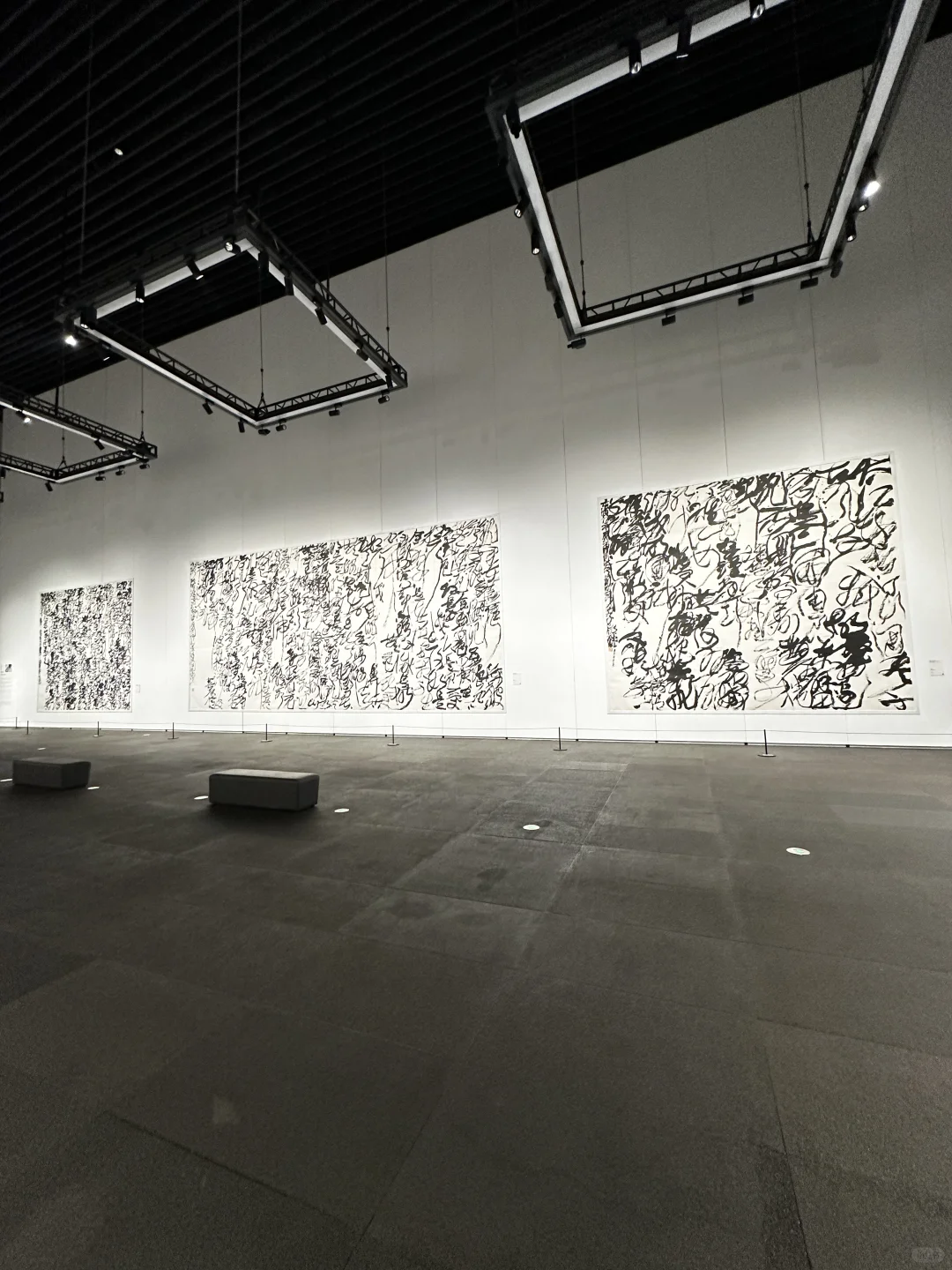 深圳新展！文字艺术…太震撼了！（live图)