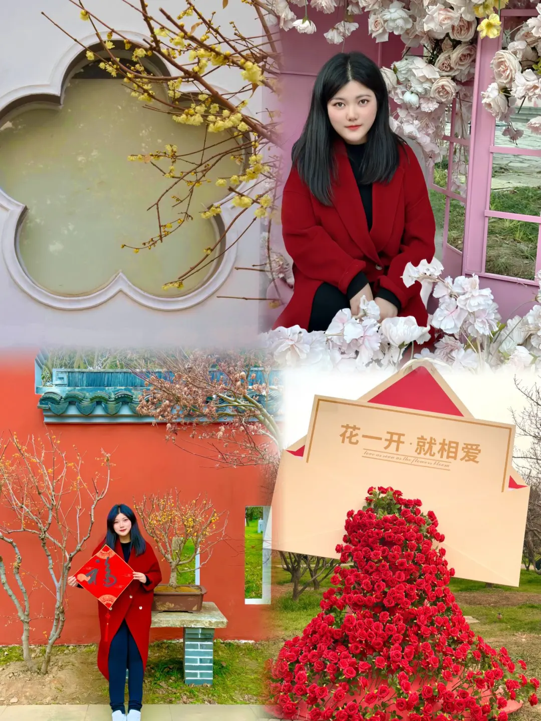 央妈审美下的梅园真的爆美‼️