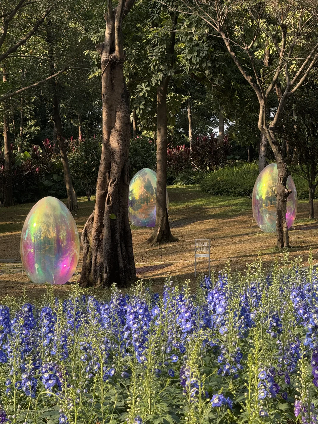 新年?云溪植物园Citywalk！美成莫奈花园！！！