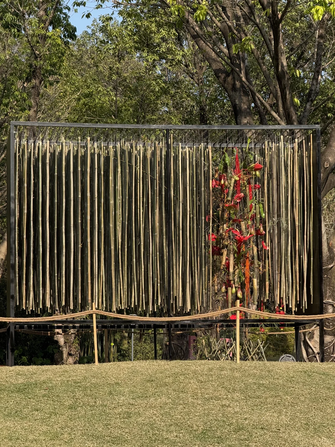 新年?云溪植物园Citywalk！美成莫奈花园！！！