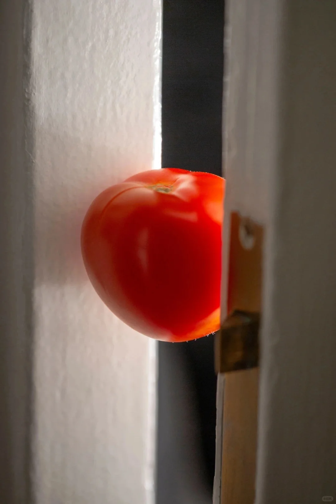 不泛滥艺术家|路淞 Song Lu