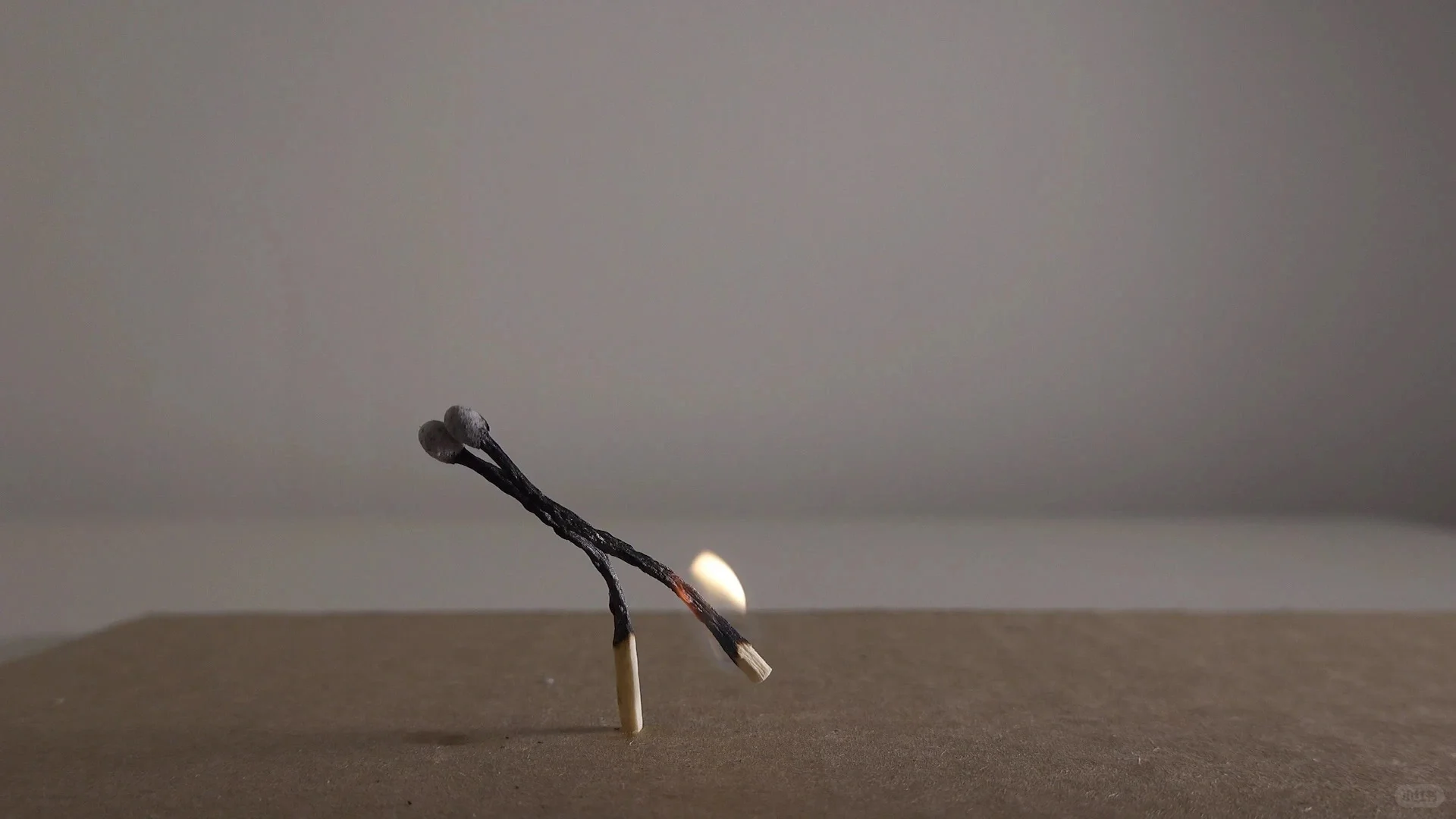 不泛滥艺术家|路淞 Song Lu