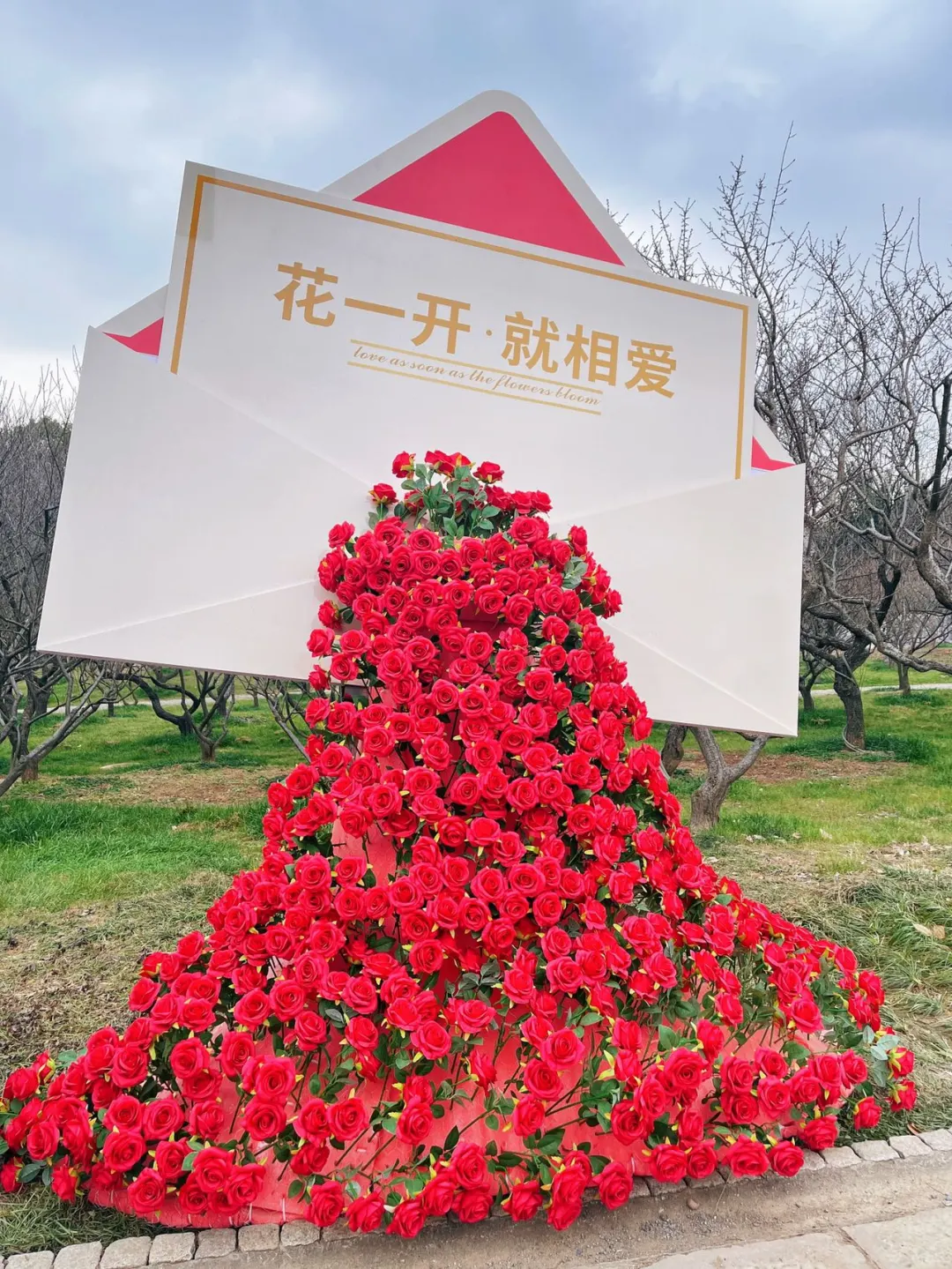 蜡梅寻春，年味浓就在梅园