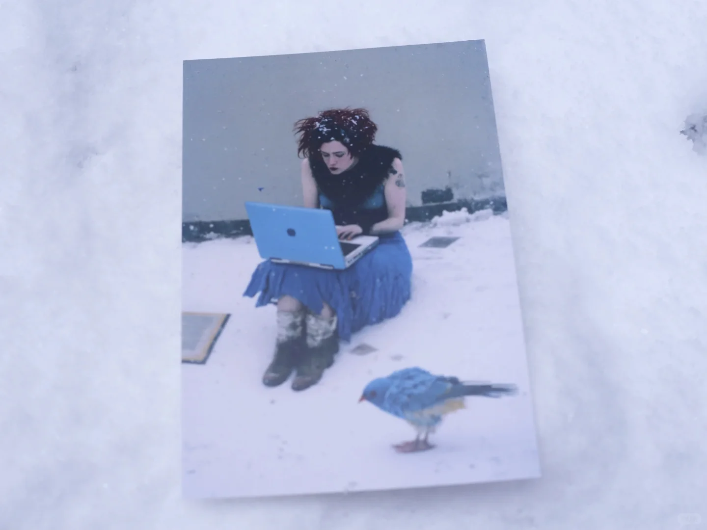 不泛滥艺术家|路淞 Song Lu