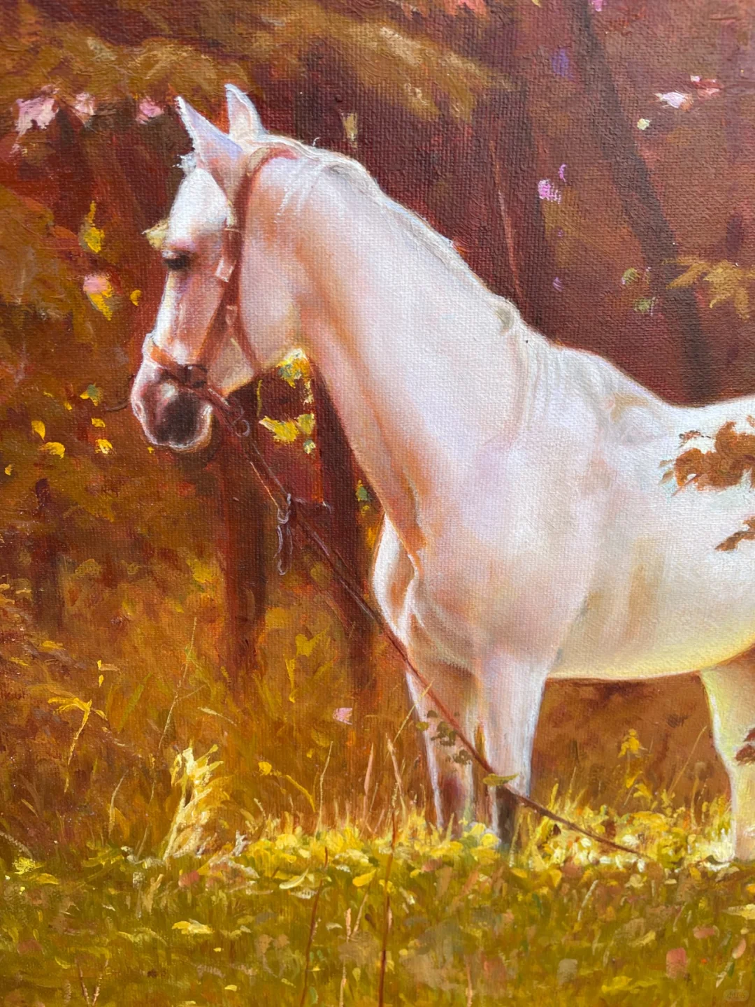 树林中的白马 50*71cm