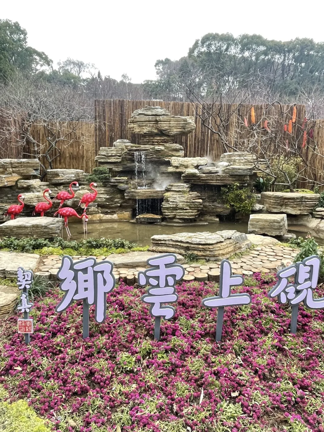 蜡梅寻春，年味浓就在梅园