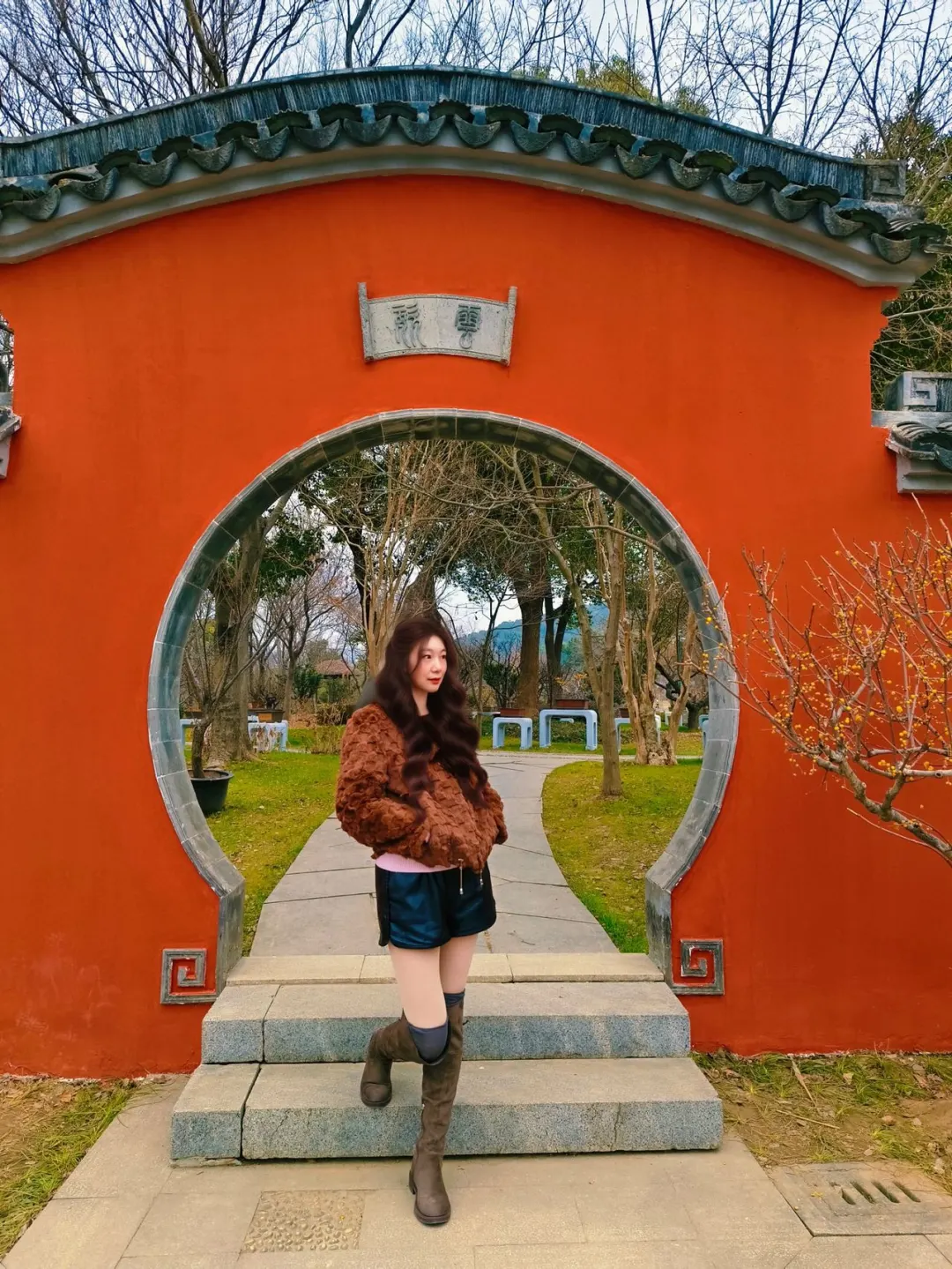 蜡梅寻春，年味浓就在梅园