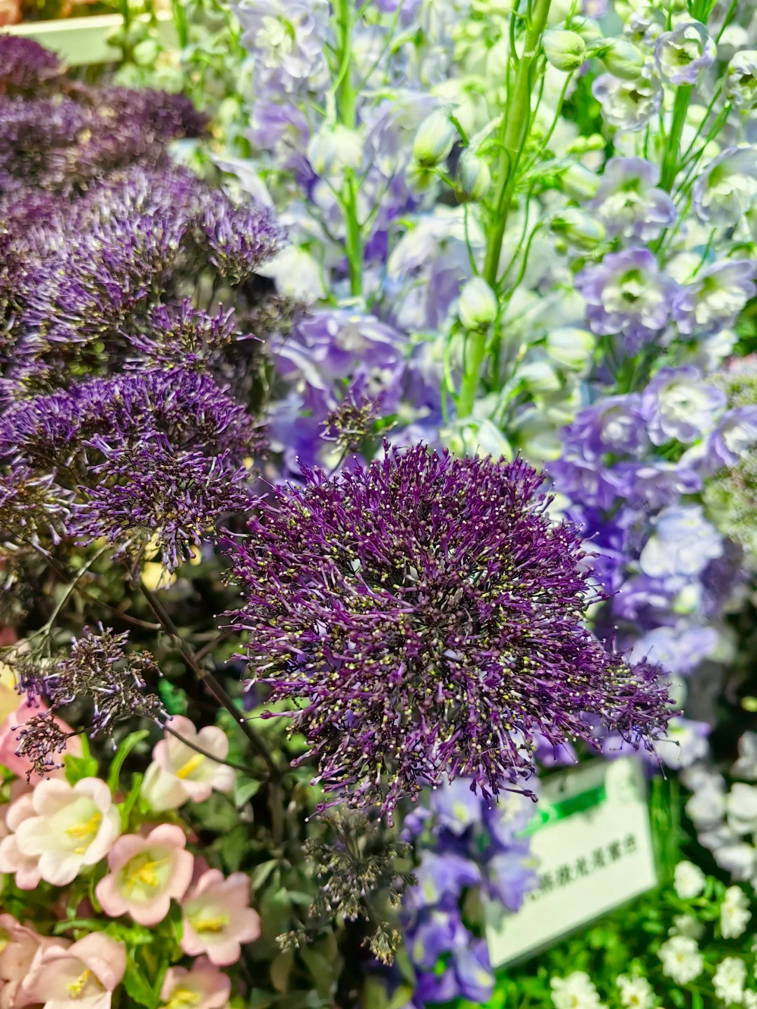 中国国际花卉园艺展览会（二十九）